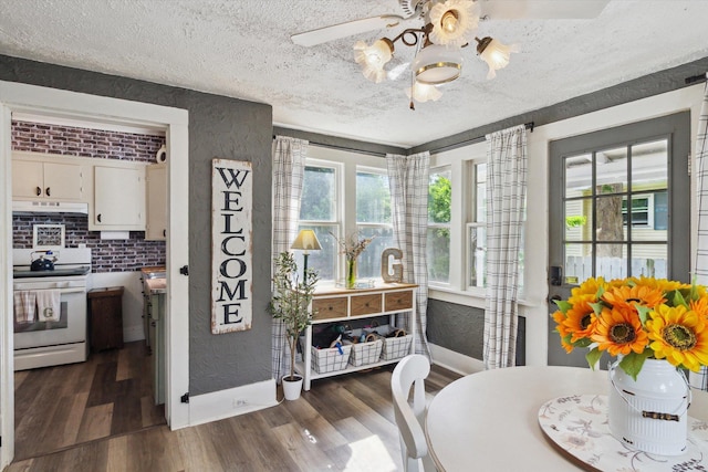 700 S Washington, Mount Pleasant, MI 48858 - dining space featuring a textured ceiling, dark wood-type flooring, a textured wall, a ceiling fan, and baseboards