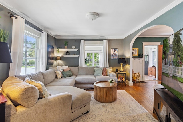 700 S Washington, Mount Pleasant, MI 48858 - living area featuring arched walkways, crown molding, wood finished floors, and baseboards