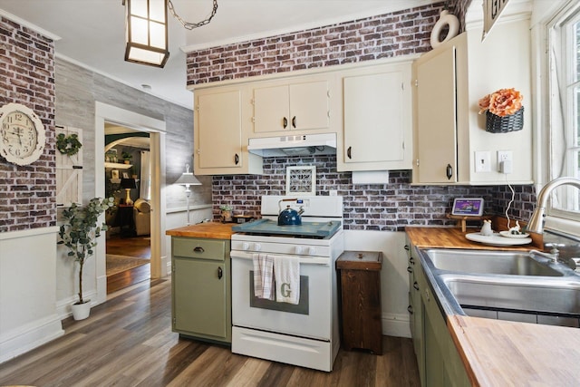 700 S Washington, Mount Pleasant, MI 48858 - kitchen with butcher block counters, white range with electric cooktop, a sink, under cabinet range hood, and crown molding