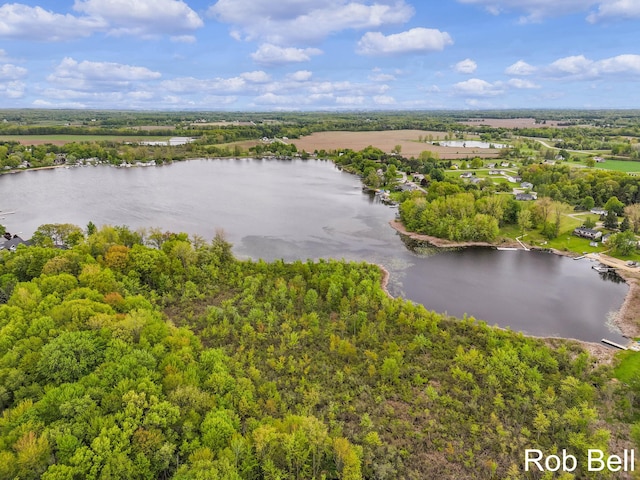 291 Sunset Dr, Sand Lake, MI 49343 - bird's eye view of a nearby body of water