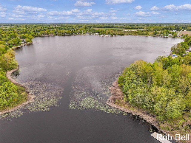 291 Sunset Dr, Sand Lake, MI 49343 - aerial view of a large body of water and a heavily wooded area