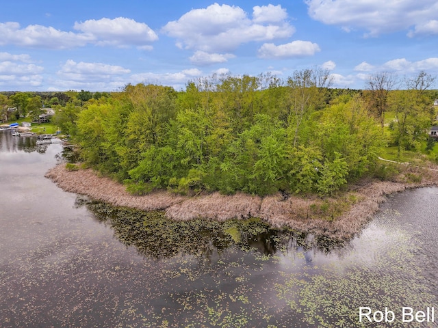 291 Sunset Dr, Sand Lake, MI 49343 - water view