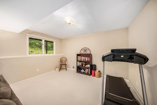 7643 Cottonwood Ln, Dexter, MI 48130 - workout room with carpet and baseboards