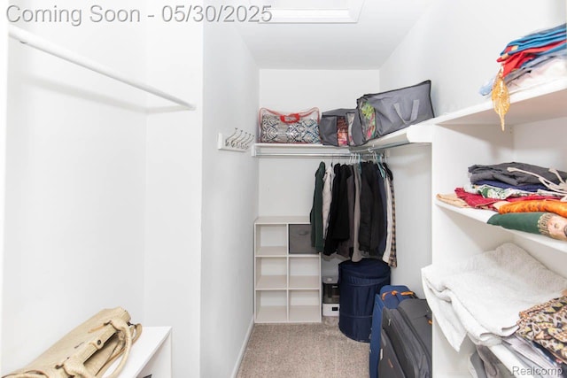 2062 Preserve Cir W, Canton, MI 48188 - spacious closet featuring carpet floors