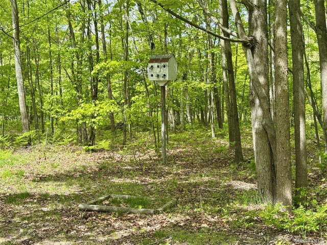 499 E Winegars Rd, Gladwin, MI 48624 - photo 4