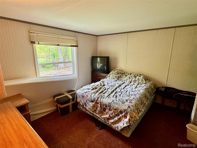 499 E Winegars Rd, Gladwin, MI 48624 - photo 28