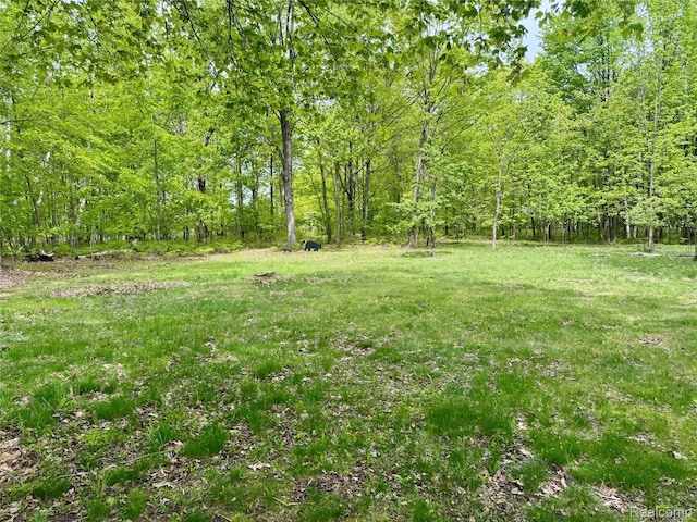 499 E Winegars Rd, Gladwin, MI 48624 - photo 3