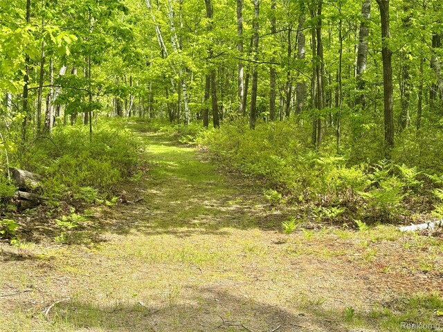 499 E Winegars Rd, Gladwin, MI 48624 - photo 5