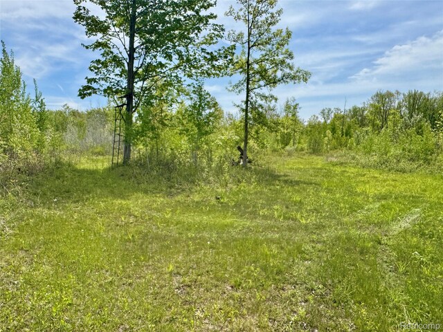 499 E Winegars Rd, Gladwin, MI 48624 - photo 8