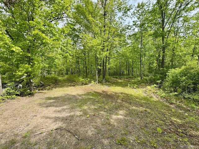 499 E Winegars Rd, Gladwin, MI 48624 - photo 6