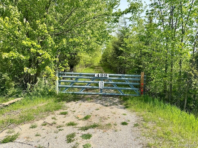 499 E Winegars Rd, Gladwin, MI 48624 - photo 1