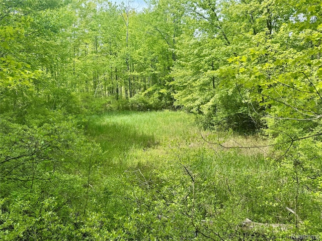 499 E Winegars Rd, Gladwin, MI 48624 - photo 7