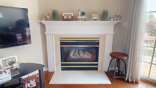 17 E Drake Dr, Saginaw, MI 48603 - detailed view of wood finished floors and a glass covered fireplace