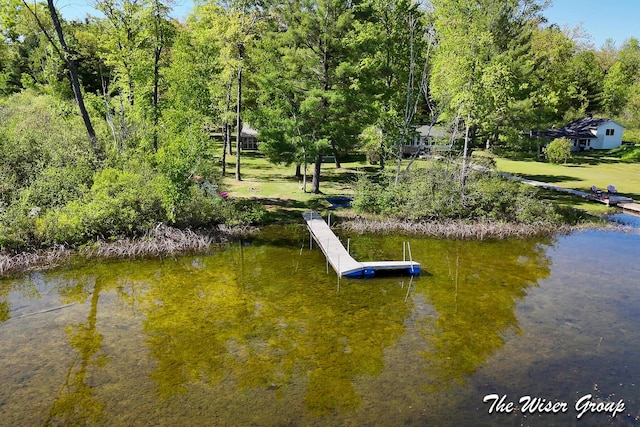 1261 W Channel St, Bitely, MI 49309 - dock with a water view