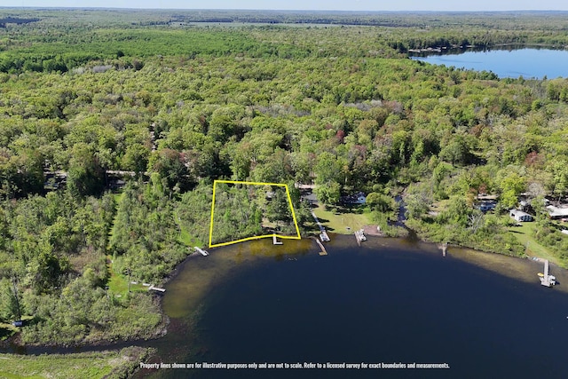 1261 W Channel St, Bitely, MI 49309 - aerial view of property and surrounding area with a forest, a nearby body of water, and property boundaries highlighted
