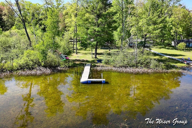 1261 W Channel St, Bitely, MI 49309 - view of surrounding community