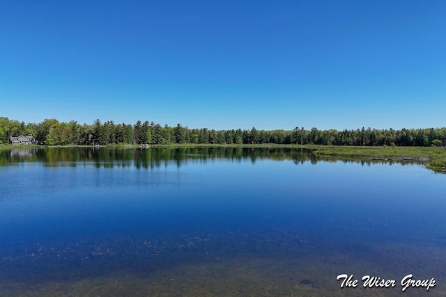 1261 W Channel St, Bitely, MI 49309 - water view with a forest
