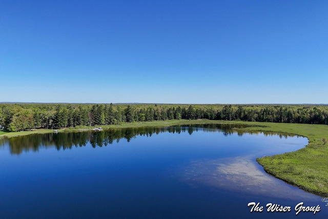 1261 W Channel St, Bitely, MI 49309 - water view featuring a heavily wooded area