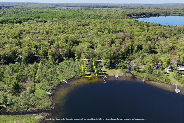 1261 W Channel St, Bitely, MI 49309 - view of property location with a forest, a large body of water, and property boundaries highlighted