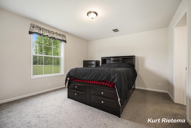 532 48th St, Grand Junction, MI 49056 - bedroom featuring baseboards and carpet flooring