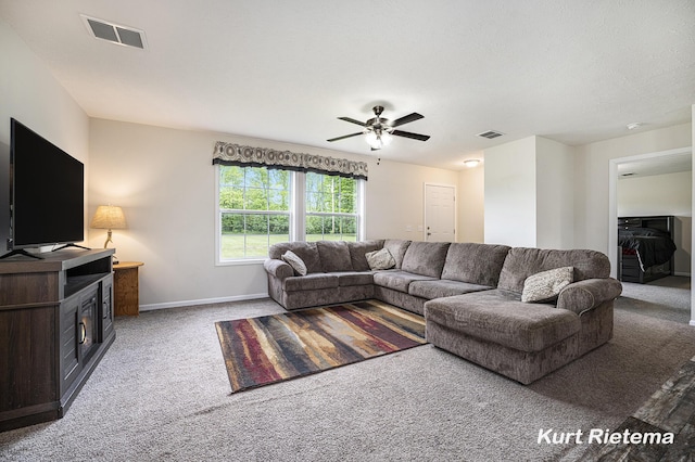 532 48th St, Grand Junction, MI 49056 - carpeted living room featuring ceiling fan and baseboards