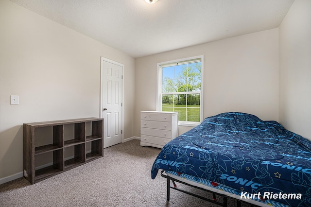 532 48th St, Grand Junction, MI 49056 - bedroom featuring carpet floors and baseboards