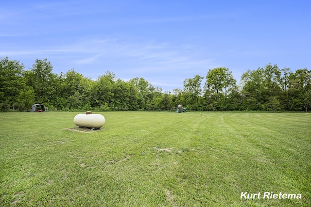 532 48th St, Grand Junction, MI 49056 - view of green lawn