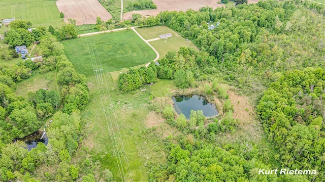532 48th St, Grand Junction, MI 49056 - view of rural area featuring a nearby body of water