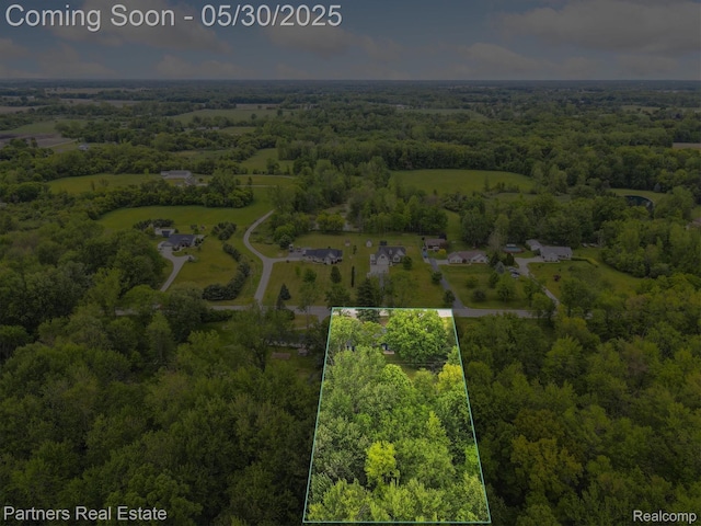 11651 Mason Rd, Webberville, MI 48892 - aerial overview of property's location with property parcel outlined and a heavily wooded area
