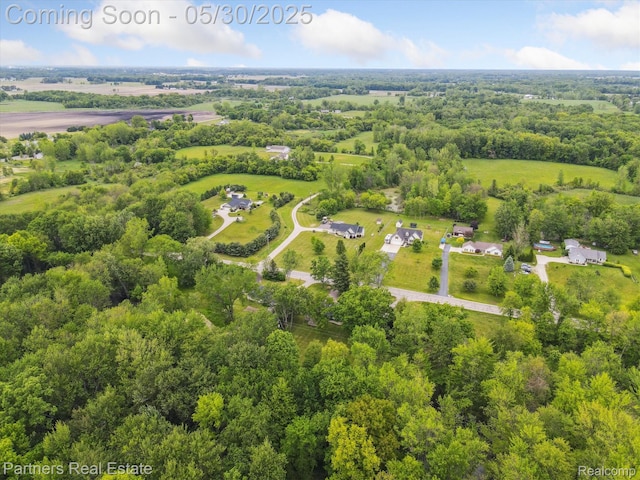 11651 Mason Rd, Webberville, MI 48892 - aerial overview of property's location