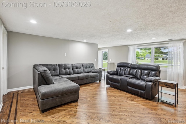 11651 Mason Rd, Webberville, MI 48892 - living area with a textured ceiling, wood finished floors, baseboards, and recessed lighting