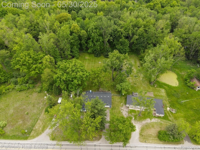 11651 Mason Rd, Webberville, MI 48892 - bird's eye view