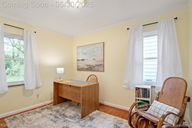 22810 Lilac St, Farmington, MI 48336 - office area with wood finished floors, baseboards, and ornamental molding
