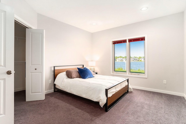 9077 24th Ave, Jenison, MI 49428 - bedroom with carpet, baseboards, and recessed lighting