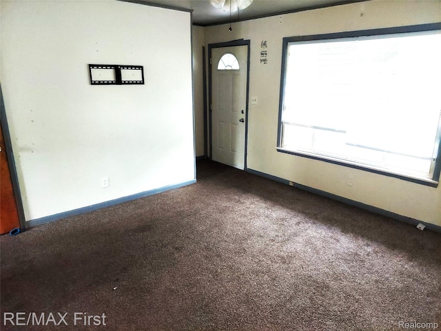 24449 Lauren Ave, Warren, MI 48089 - foyer entrance with dark carpet and baseboards