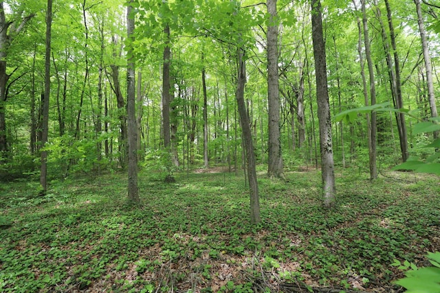 10466 W Farrand Rd, Montrose, MI 48457 - view of woods