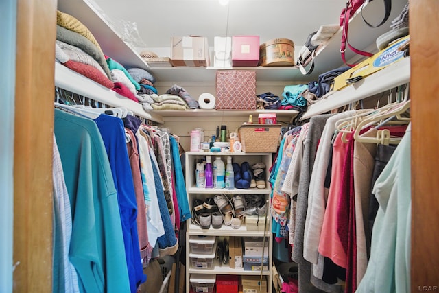 39582 Tunstall St, Clinton Township, MI 48038 - view of walk in closet