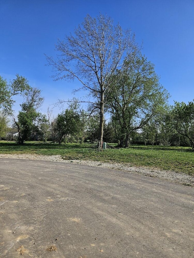 8812 Walsh Ct, Onsted, MI 49265 - view of yard