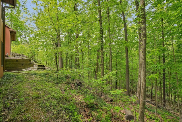 3805 Penberton Ct, Ann Arbor, MI 48105 - view of wooded area