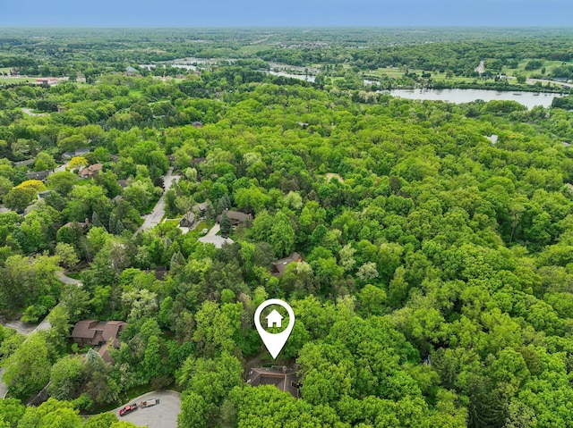 3805 Penberton Ct, Ann Arbor, MI 48105 - aerial view of a nearby body of water and a forest