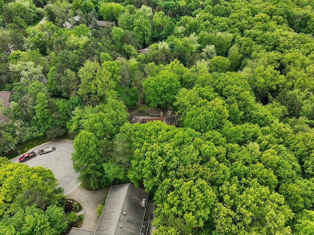 3805 Penberton Ct, Ann Arbor, MI 48105 - drone / aerial view