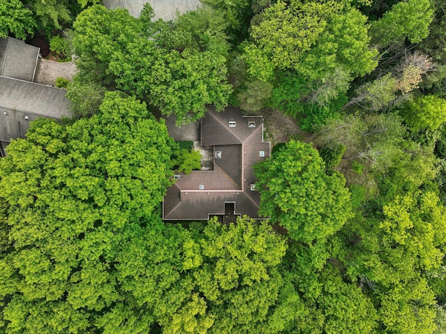 3805 Penberton Ct, Ann Arbor, MI 48105 - view of subject property