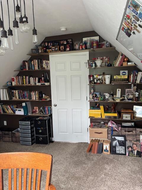 209 S Lake Ave, Fremont, MI 49412 - view of pantry
