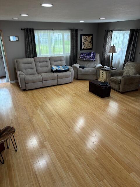 209 S Lake Ave, Fremont, MI 49412 - living area featuring healthy amount of natural light, light wood-style floors, and recessed lighting