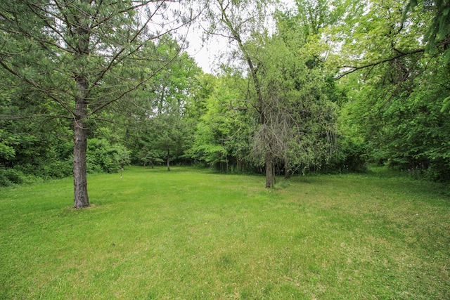 21729 Pinhook Rd, Mendon, MI 49072 - view of grassy yard featuring a view of trees