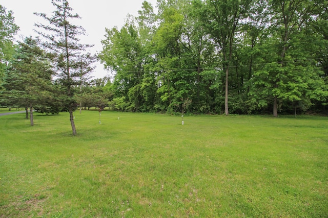 21729 Pinhook Rd, Mendon, MI 49072 - view of grassy yard