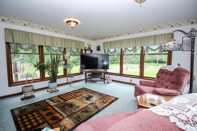 21729 Pinhook Rd, Mendon, MI 49072 - living room featuring carpet floors and baseboards