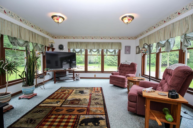 21729 Pinhook Rd, Mendon, MI 49072 - carpeted living area featuring baseboards