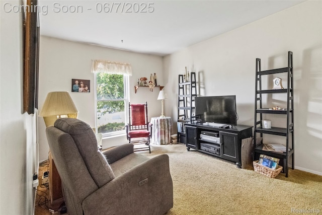 17509 Yaneev Dr, Macomb, MI 48044 - living room featuring carpet