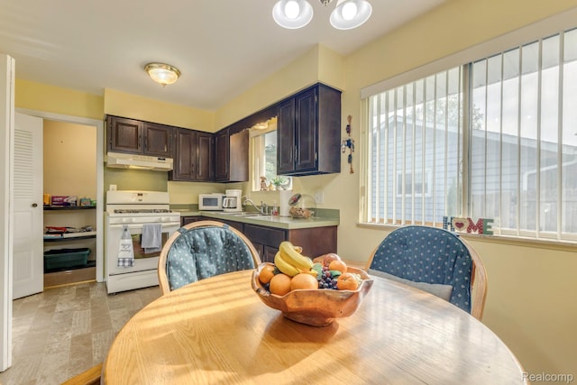 34043402 Appomattox Dr, Port Huron, MI 48060 - kitchen featuring white appliances, under cabinet range hood, dark brown cabinetry, a sink, and light countertops